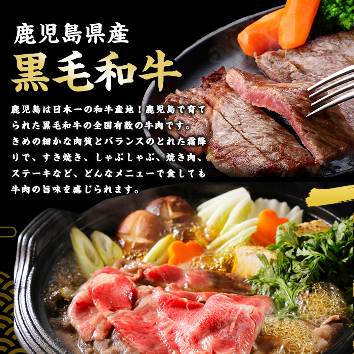 ＜定期便全6回＞黒毛和牛・豚肉ミックス定期便 総重量10kg以上 赤身 モモ 豚 ミンチ ロースかつ 豚肉 牛肉 切り落とし サーロイン 豚ロース しゃぶしゃぶ すき焼き 【スターゼン】starzen-1427