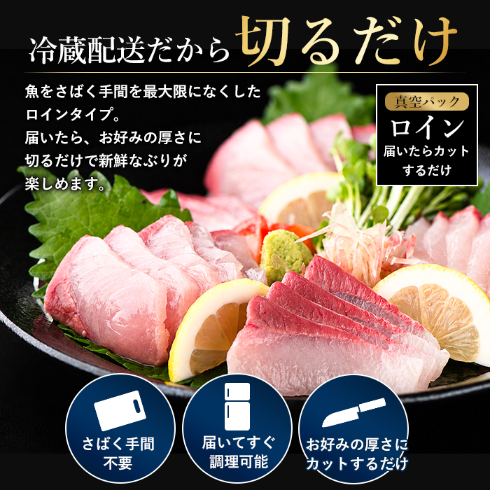 【10月以降順次発送】【切って盛るだけ】『旅サラダ』で紹介ぶりの王様「 鰤王 」 ロイン 2節 (約1.0kg〜) 半身 産地直送 新鮮 旨味が抜群の 長島町 特産品 ブランド ぶり 鰤 ブリ 切り身 真空 冷蔵 刺身 ぶりしゃぶ しゃぶしゃぶ 魚 魚介 人気 ランキング 【JFA】jfa-7132