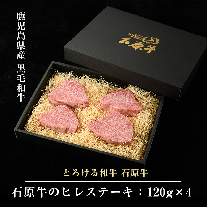 石原牛のヒレステーキ(120g×4) (数量限定)石原牛 赤身 ヒレ ステーキ 480g 国産 牛 ウシ 牛肉 焼肉 BBQ バーベキュー ビーフ 冷凍【石原PRO】ishihara-1346