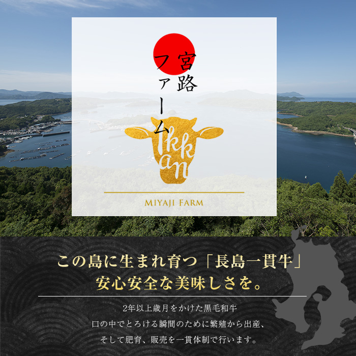 鹿児島県長島町産 黒毛和牛切り落とし (計600g・300g×2P) 牛肉 切り落とし 小分け 黒毛和牛 鹿児島 和牛 切り落とし 牛切り落とし 【宮路ファーム】f-miyaji-1389