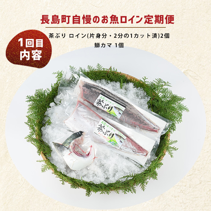 ＜定期便・毎月発送全4回＞ 長島町自慢のお魚定期便(ロイン) 全4回 nagashima-1515
