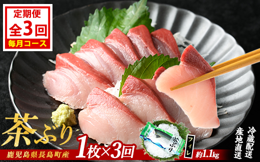 茶ぶりフィレ定期便 毎月 (全3回)  国産 鹿児島県産 ブリ 茶ぶり 鰤 海鮮 海産物 フィレ 魚介 魚 刺身 海鮮丼 産地直送 定期【ウスイ】usui-1602A