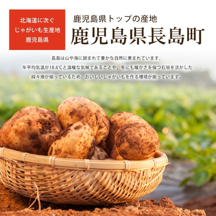 é·å³¶ã®ããã©ã«æ œå¹ããããã(èš10kg)ããšã°ãããžãã«(æ ª)ãeguchi-7019