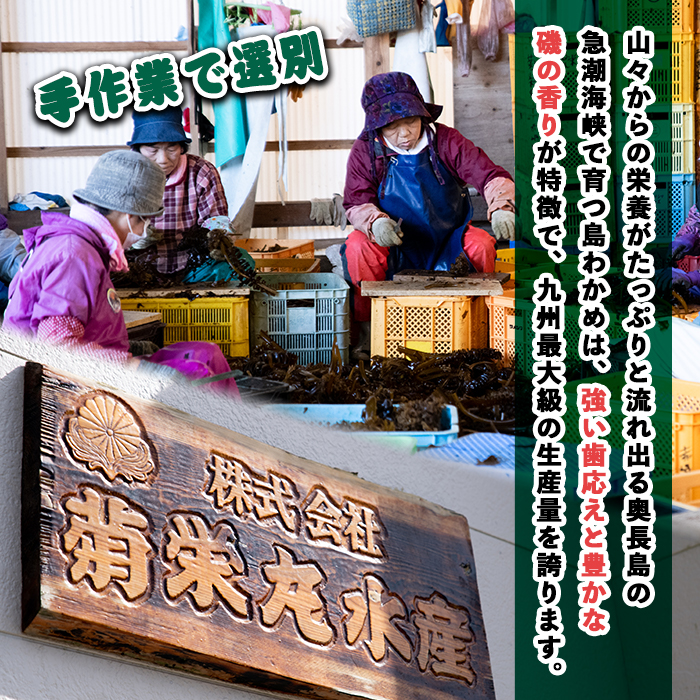 菊栄丸の手作り湯通し塩蔵わかめセット(計1.2kg)【菊栄丸水産】kiku-2341