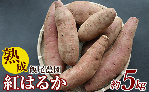 飯尾農園 熟成 紅はるか 約5kg 芋 いも さつまいも サツマイモ 鹿児島県産 国産 長島町産 べにはるか 熟成【飯尾農園】miio-874