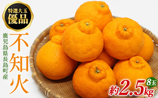 特選大玉 優品不知火 ８玉入り約2.5kg【山上農園】yamagami-773