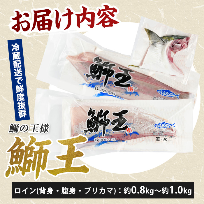 【切って盛るだけ】『旅サラダ』で紹介ぶりの王様「 鰤王 」 ロイン 2節 (約0.8kg〜1.0kg) 半身 産地直送 新鮮 旨味が抜群の 長島町 特産品 ブランド ぶり 鰤 ブリ 切り身 真空 冷蔵 刺身 ぶりしゃぶ しゃぶしゃぶ 魚 魚介 人気 ランキング 【JFA】jfa-7132