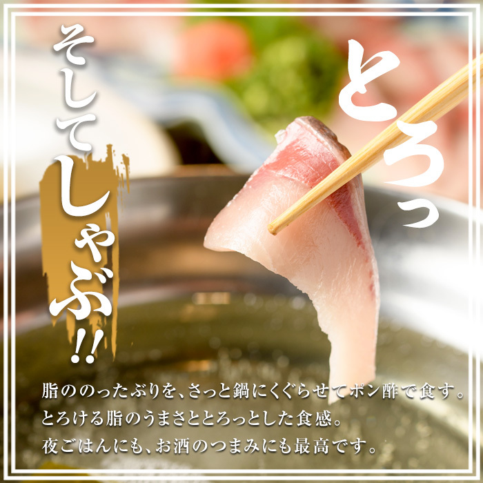 ぶりの王様「 鰤王 」 まるごと 1本 (約4.5kg) 産地直送 新鮮 旨味が抜群の 長島町 特産品 ブランド ぶり 鰤 ブリ 切り身 真空 冷蔵 刺身 ぶりしゃぶ しゃぶしゃぶ 魚 魚介 人気 ランキング 【JFA】jfa-1260