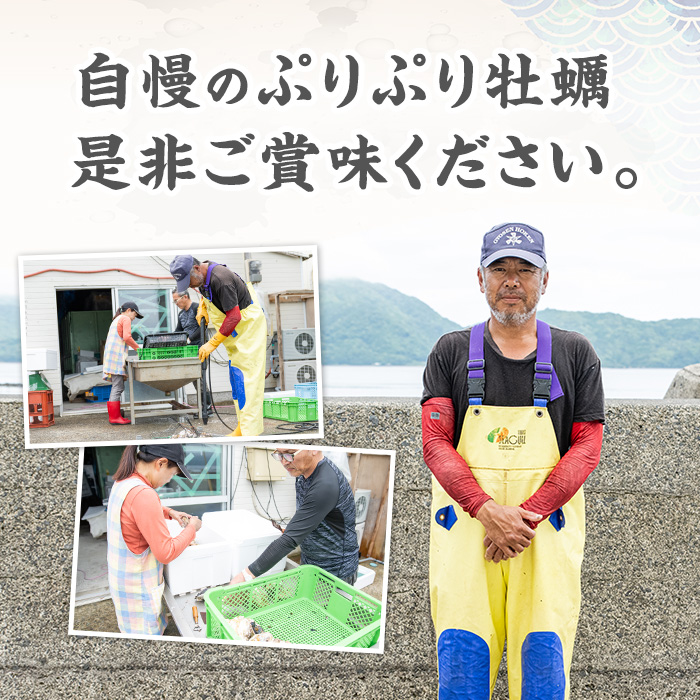 å€ã«çŸå³ã岩ãã çŽ3.0kg ïŒæ®»ã®ééå«ãïŒãéŠçäžžæ°Žç£ãkinsei-7169