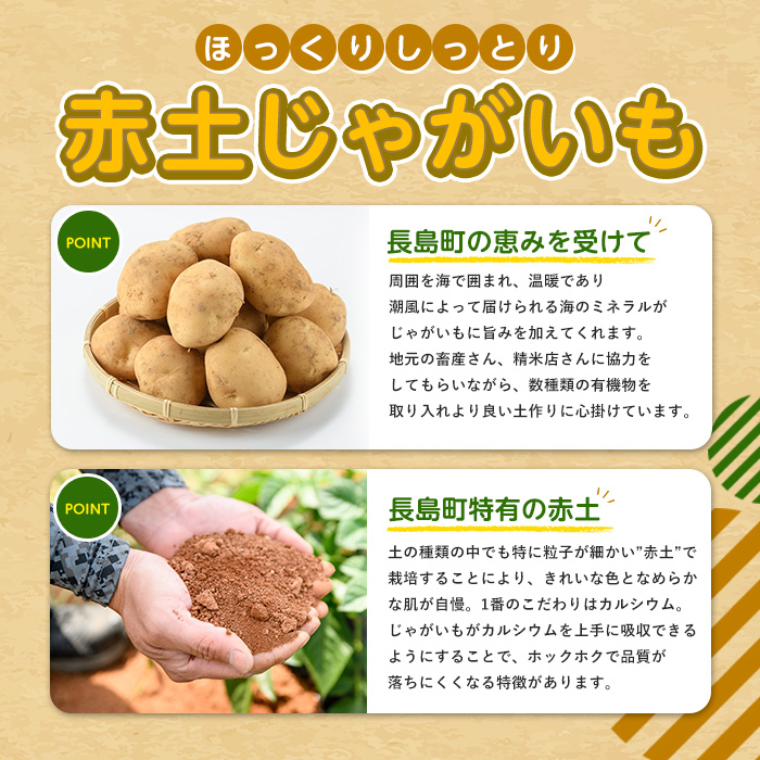 縲仙宍驕ク謇矩∈蛻・縲代∩縺壹∩縺壹@縺譁ー縺倥c縺後譏・縺倥c縺後>繧10kg_horino-7074