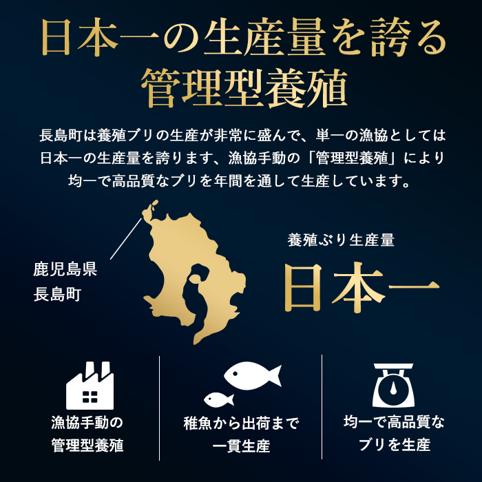 ã¶ãã®çæ§ã é°€ç ãæ°ç© ã¹ãã³ã¬ã¹ããŒã·ã§ã³ 4På
¥ã å·èµ ã§ãå±ã ã¶ã ã㪠鰀 ã¶ãããã¶ ããã ç£å°çŽé æ°é®® æšå³ãæçŸ€ã® é·å³¶çº ç¹ç£åãJFAãjfa-1645
