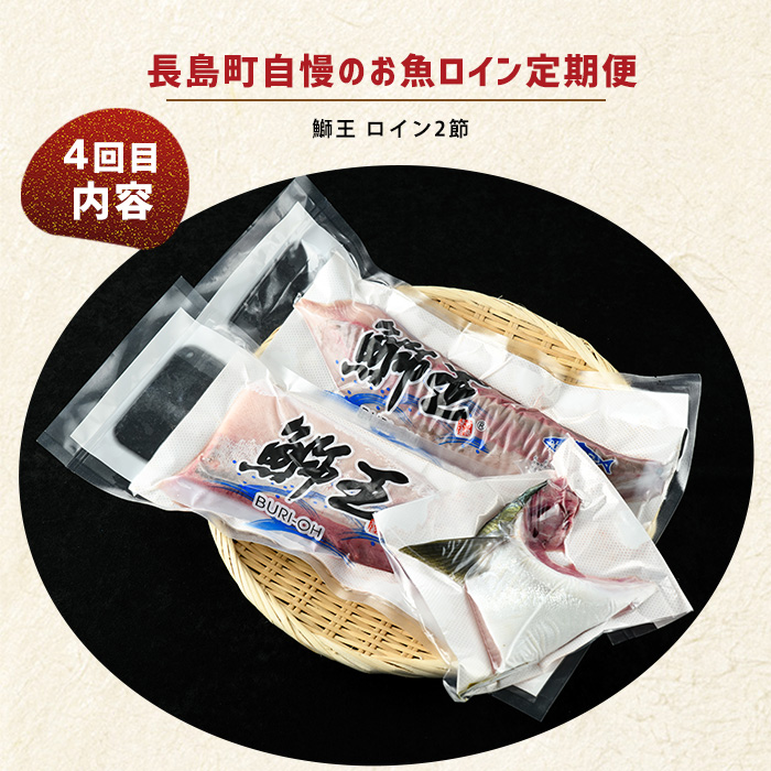＜定期便・毎月発送全4回＞ 長島町自慢のお魚定期便(ロイン) 全4回 nagashima-1515