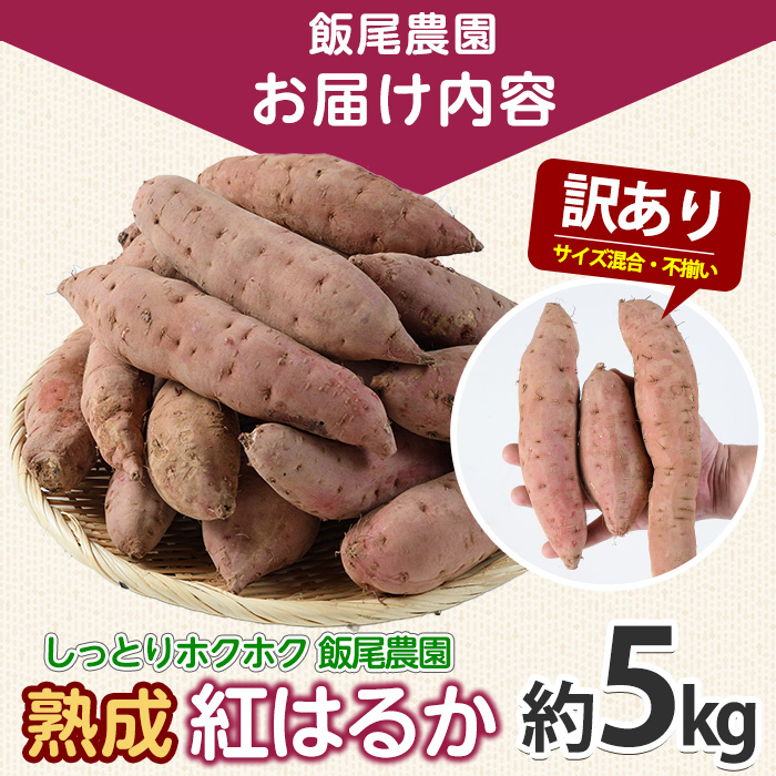 《訳あり》飯尾農園 熟成 紅はるか 約5kg 芋 いも さつまいも サツマイモ 鹿児島県産 国産 長島町産 べにはるか 熟成【飯尾農園】 miio-7233