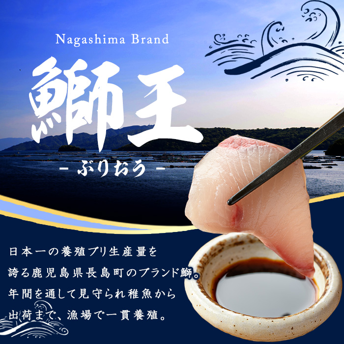 ＜定期便・毎月 全3回＞ 早生鰤王フィレ 定期便 長島町特産「鰤王」フィレ 約1.0kg×1枚 早生鰤 国産 鹿児島県産 鰤 ブリ ぶり 鰤 ぶりおう 冷蔵 海鮮 海産物 魚介 ブランド 魚 真空パック 刺身 ぶりしゃぶ しゃぶしゃぶ 海鮮丼 産地直送【JFA】jfa-1386A