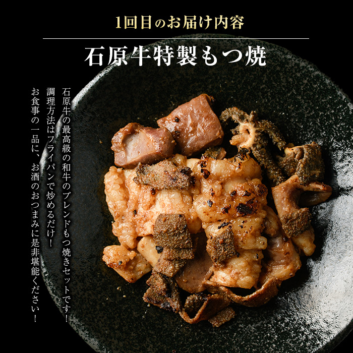 ＜定期便・毎月発送全3回＞ 石原牛の定期便【もつ食べ比べ編】 【石原PRO】nagashima-1524