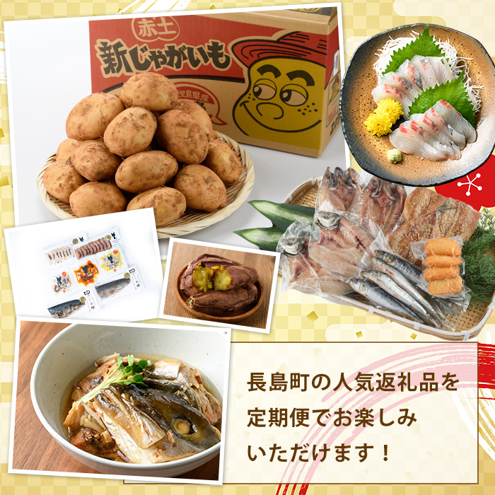 《毎月発送全12回》全事業者 長島町スペシャル定期便  nagashima-1536