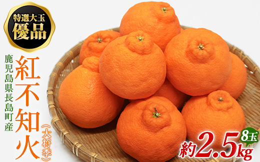 特選大玉 優品紅不知火（大将季） 8玉入り 約2.5kg【山上農園】yamagami-777