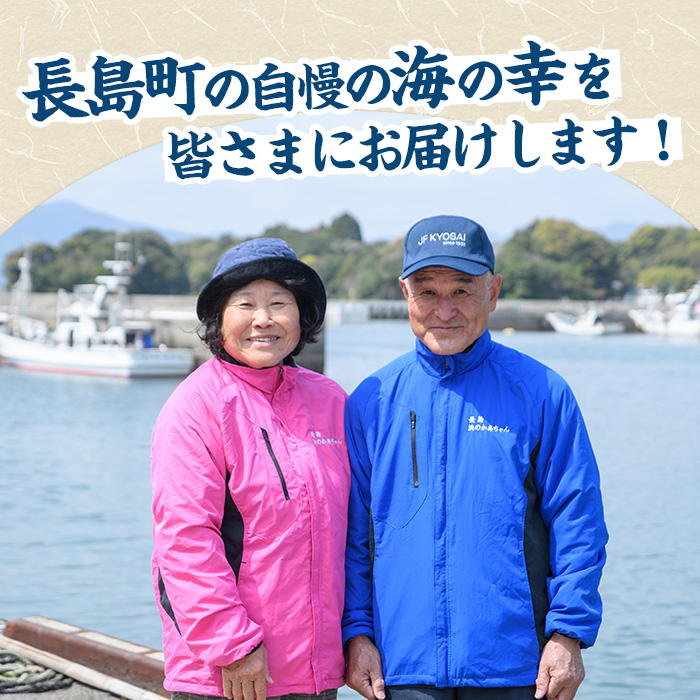 浜のかあちゃん 干物5種セット【浜のかあちゃん】hama-7068