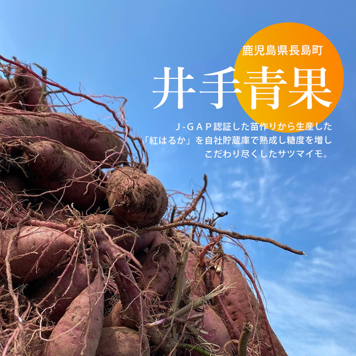 äºæéæã®çæçŽ
ã¯ããå¹²ãè èš400g (100gÃ4è¢) çæ çŽ
ã¯ãã å¹²ãè æ¿åãªçã¿ãäºæéæãide-7083