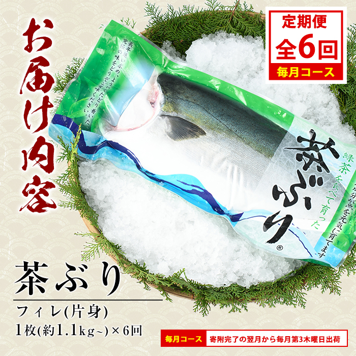茶ぶりフィレ定期便 毎月 (全6回)  国産 鹿児島県産 ブリ 茶ぶり 鰤 海鮮 海産物 フィレ 魚介 魚 刺身 海鮮丼 産地直送 定期【ウスイ】usui-1603A