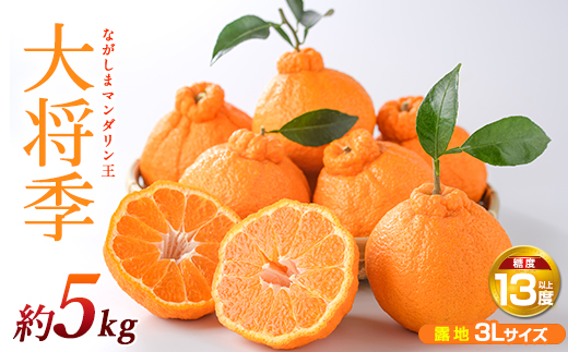 ながしまマンダリン王【露地】(大将季) 約5kg【ながしまマンダリングループ】mandarin-7197
