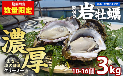 夏に美味い岩がき 約3.0kg （殻の重量含む）【錦盛丸水産】kinsei-7169