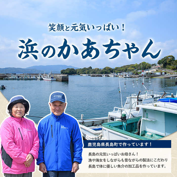 浜のかあちゃん 干物5種セット【浜のかあちゃん】hama-7068