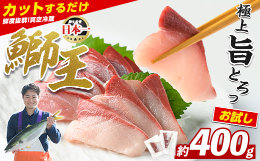 【お試し品】 ぶりの王様「 鰤王 」 スキンレスポーション 2P入り 冷蔵 でお届け ぶり ブリ 鰤 ぶりしゃぶ たたき 産地直送 新鮮 旨味が抜群の 長島町 特産品【JFA】jfa-1599