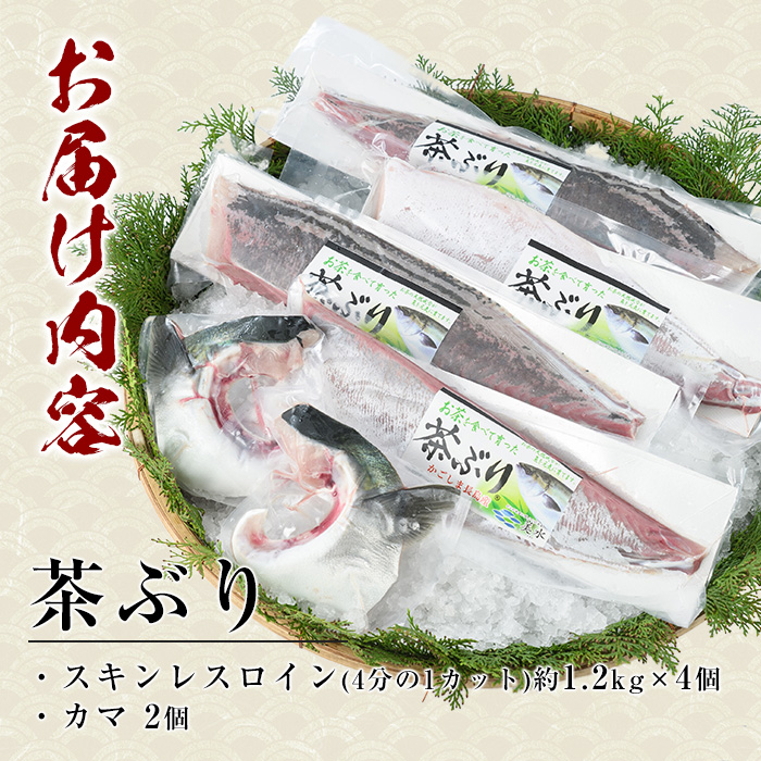 ブリカマ付！茶ぶり スキンレスロイン約1.2kg(1尾分・4分の1カット済)【ウスイ】usui-6121