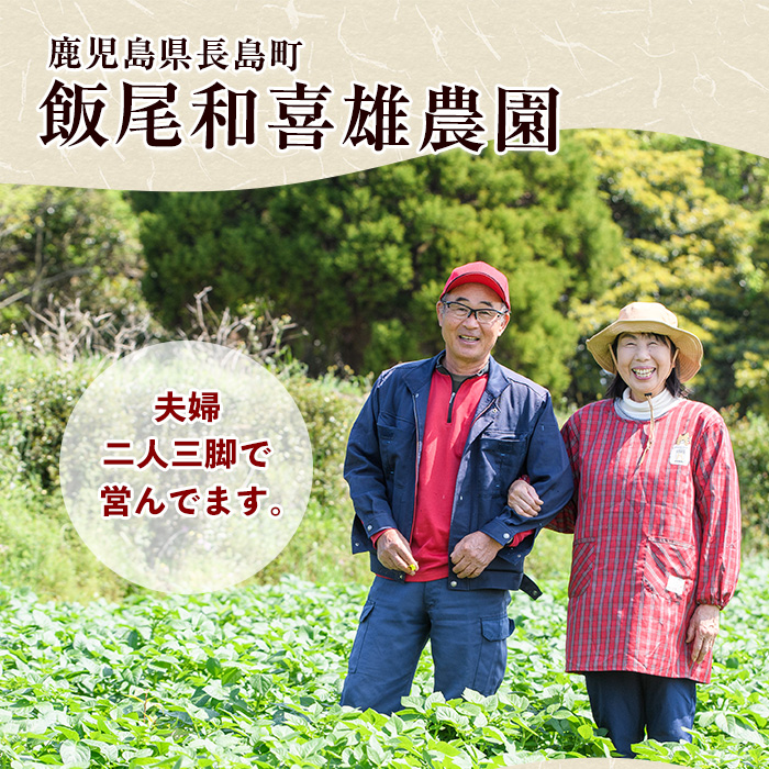 【先行予約】和喜雄さんといつみさんの熟成じゃがいも5kg【飯尾和喜雄農園】iio-7085