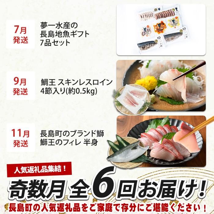 《奇数月発送全6回》全事業者 長島町スペシャル定期便 nagashima-1538