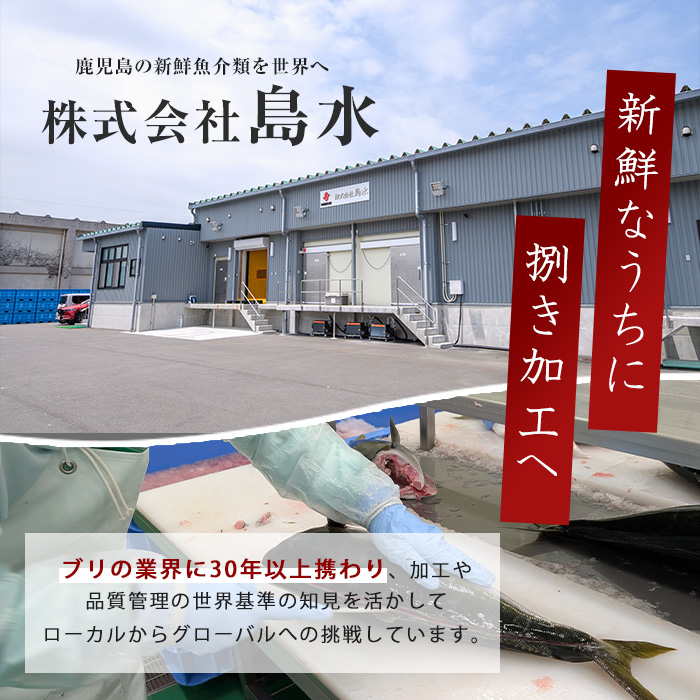 鰤の切り身（約1.0kg）【株式会社島水】shimasui-7289