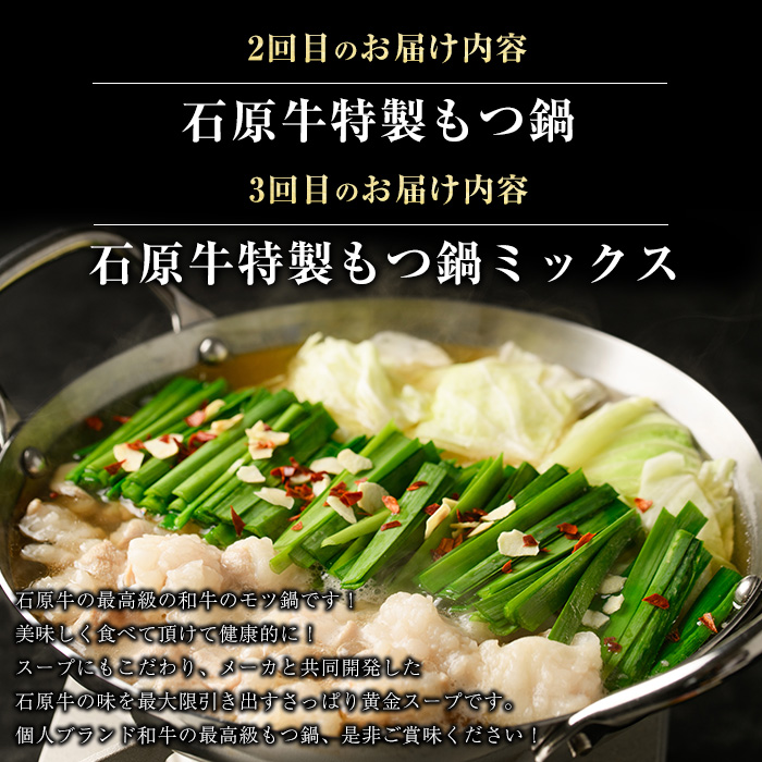 ＜定期便・毎月発送全3回＞ 石原牛の定期便【もつ食べ比べ編】 【石原PRO】nagashima-1524