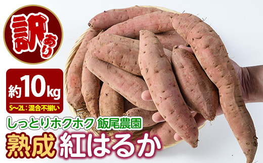 ãèš³ããã飯尟蟲å çŽ
ã¯ãã çŽ10kg è ãã ãã€ãŸãã ãµããã€ã¢ 鹿å
å³¶çç£ åœç£ é·å³¶çºç£ ã¹ã«ã¯ãã çæã飯尟蟲åã miio-7232