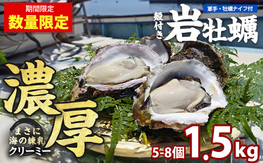 夏に美味い岩がき 約1.5kg（殻の重量含む） 【錦盛丸水産】kinsei-7168