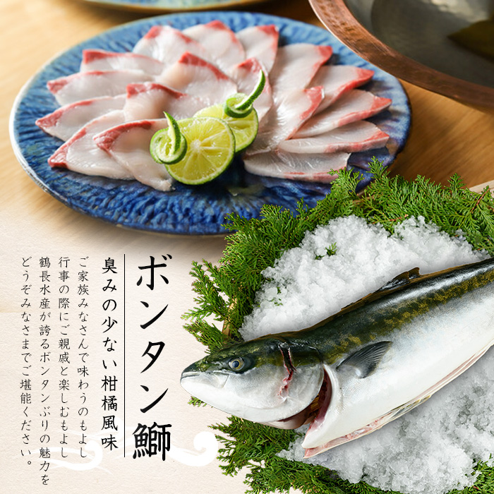 ボンタンぶりまるごと一本(内臓処理済)  ぶり 柵 刺身 ブリ 切り身 鰤 1本 鮮魚 下処理済み 鮮魚 1匹 刺身 ぶりしゃぶ ぶりかま 【鶴長水産】turu-6070