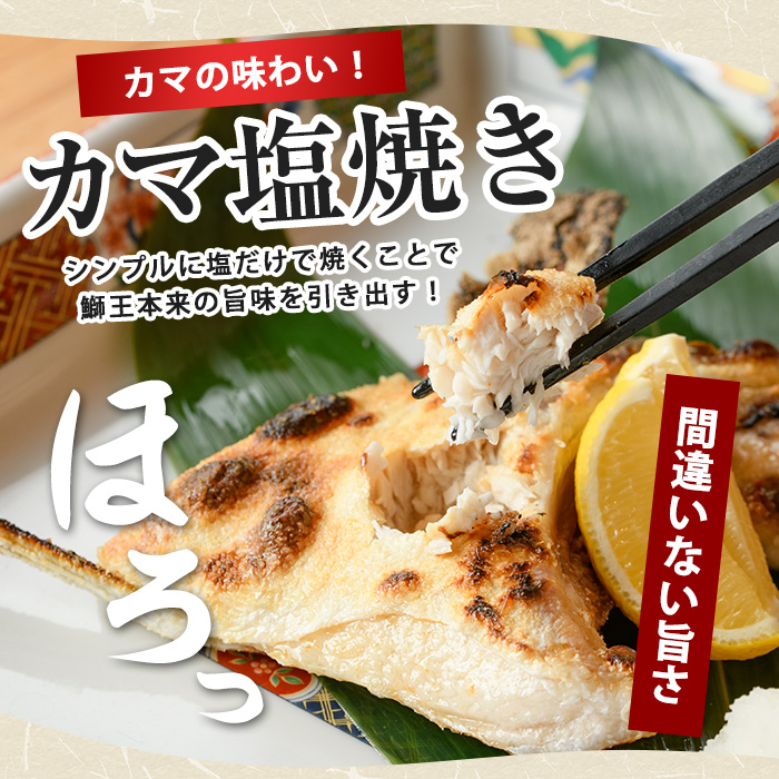 ＼年末発送 先行予約／＜数量限定＞【2026年12月27日発送】『旅サラダ』で紹介ぶりの王様「 鰤王 」 フィレ 半身 (約1.2kg〜・フィレ1枚) 産地直送 新鮮 旨味が抜群の 長島町 特産品 ブランド ぶり 鰤 ブリ 切り身 真空 冷蔵 刺身 ぶりしゃぶ しゃぶしゃぶ 魚 魚介 人気 ランキング 年末年始発送 【JFA】jfa-7006-27