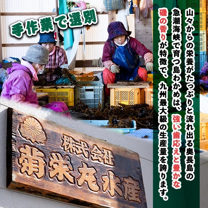 漁師が作った 野菜昆布と湯通し塩蔵わかめセット(計1.18kg)【菊栄丸水産】kiku-6003