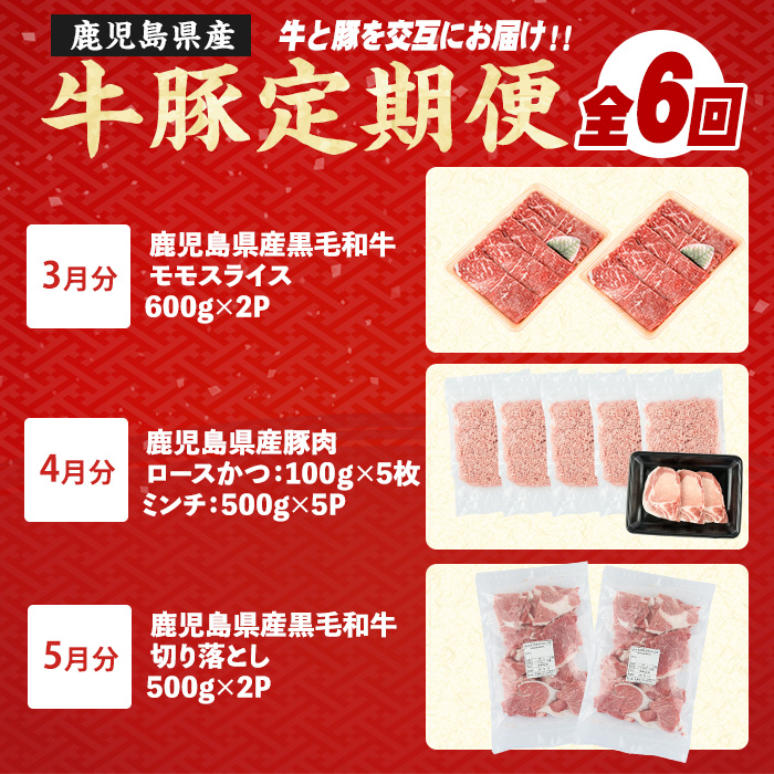 ＜定期便全6回＞黒毛和牛・豚肉ミックス定期便 総重量10kg以上 赤身 モモ 豚 ミンチ ロースかつ 豚肉 牛肉 切り落とし サーロイン 豚ロース しゃぶしゃぶ すき焼き 【スターゼン】starzen-1427