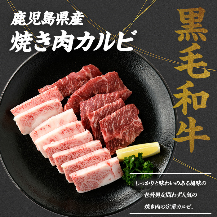 鹿児島県産黒毛和牛 食べ比べ4部位セット(計1kg)鹿児島県産 国産 九州 長島町 牛肉 モモ カルビ ミンチ ももステーキ BBQ 焼肉【コネクトライン】konekuto-7183