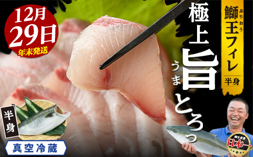 ＜数量限定＞【2025年12月29日発送】『旅サラダ』で紹介ぶりの王様「 鰤王 」 フィレ 半身 (約1.2kg〜・フィレ1枚) 産地直送 新鮮 旨味が抜群の 長島町 特産品 ブランド ぶり 鰤 ブリ 切り身 真空 冷蔵 刺身 ぶりしゃぶ しゃぶしゃぶ 魚 魚介 人気 ランキング 年末年始発送 【JFA】jfa-7006-29