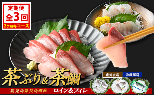 茶ぶり・茶鯛の定期便 2ヶ月毎 (全3回)  国産 鹿児島県産 ブリ 茶ぶり 鰤 茶鯛 鯛 海鮮 海産物 フィレ 魚介 魚 刺身 海鮮丼 産地直送 定期【ウスイ】usui-1604B