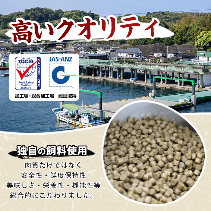 ＼年末発送 先行予約／＜数量限定＞【2026年12月28日発送】『旅サラダ』で紹介ぶりの王様「 鰤王 」 フィレ 半身 (約1.2kg〜・フィレ1枚) 産地直送 新鮮 旨味が抜群の 長島町 特産品 ブランド ぶり 鰤 ブリ 切り身 真空 冷蔵 刺身 ぶりしゃぶ しゃぶしゃぶ 魚 魚介 人気 ランキング 年末年始発送 【JFA】jfa-7006-28