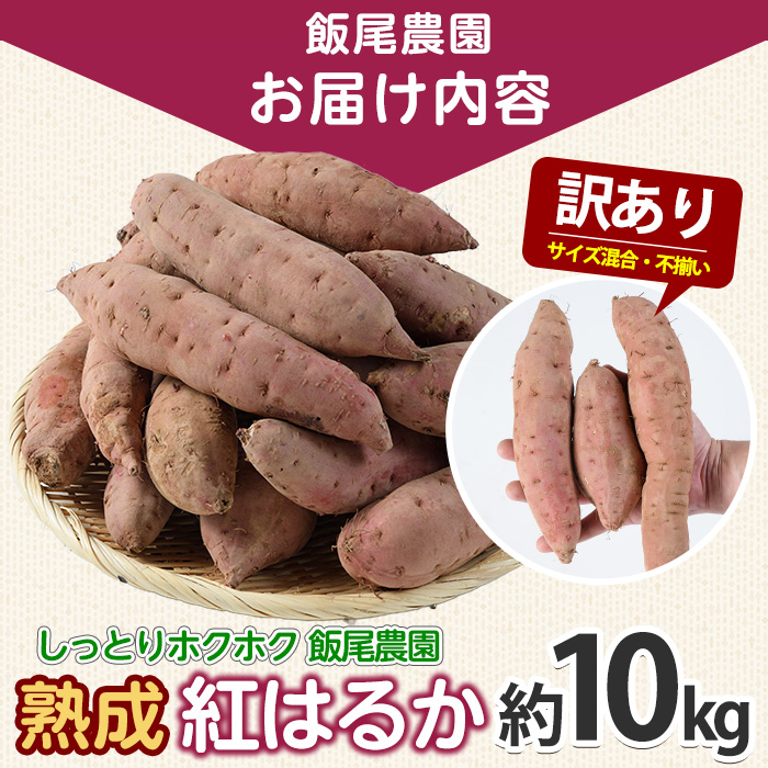 ãèš³ããã飯尟蟲å çŽ
ã¯ãã çŽ10kg è ãã ãã€ãŸãã ãµããã€ã¢ 鹿å
å³¶çç£ åœç£ é·å³¶çºç£ ã¹ã«ã¯ãã çæã飯尟蟲åã miio-7232