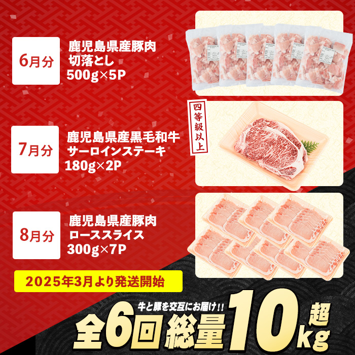 ＜定期便全6回＞黒毛和牛・豚肉ミックス定期便 総重量10kg以上 赤身 モモ 豚 ミンチ ロースかつ 豚肉 牛肉 切り落とし サーロイン 豚ロース しゃぶしゃぶ すき焼き 【スターゼン】starzen-1427