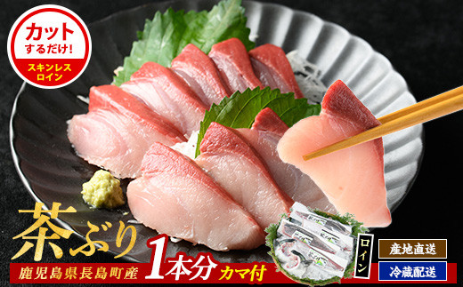 ブリカマ付！茶ぶり スキンレスロイン(1尾分・4分の1カット済)【ウスイ】 usui-7324R8