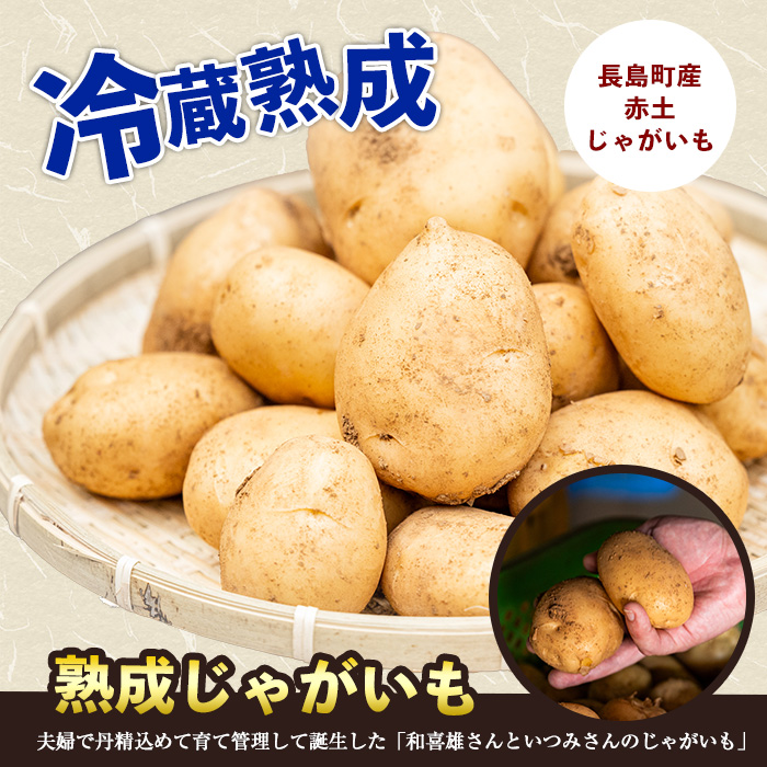 【先行予約】和喜雄さんといつみさんの熟成じゃがいも5kg【飯尾和喜雄農園】iio-7085