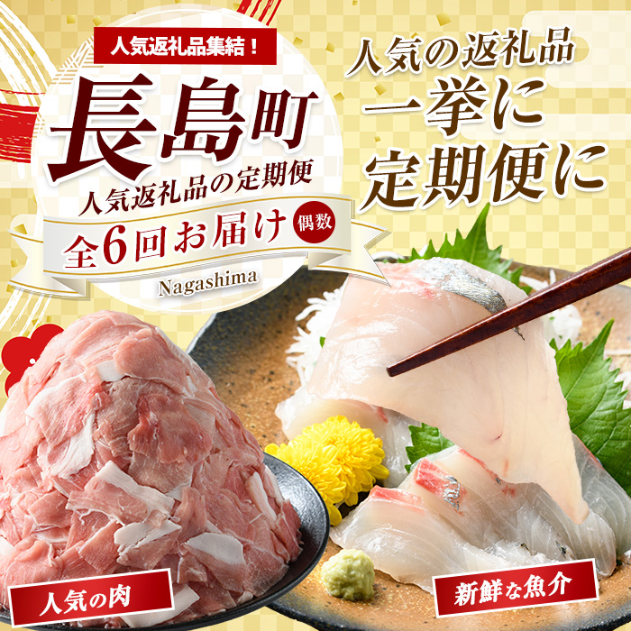 《偶数月発送全6回》全事業者 長島町スペシャル定期便  nagashima-1537
