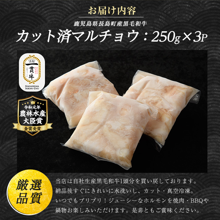 和牛カット済ホルモン（マルチョウ）250g×3パック 計750g ホルモン 牛肉 丸腸 焼肉 ホルモン 牛もつ もつ鍋 f-miyaji-6049