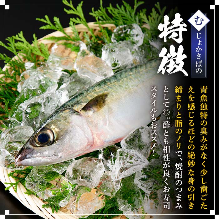 むじょかさば_jfa-461